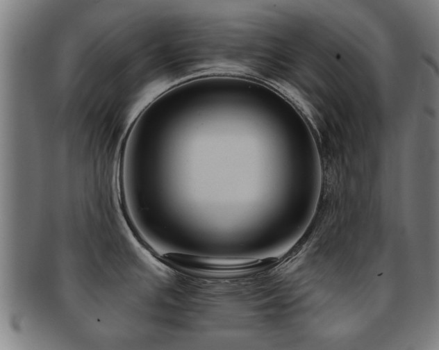 X0000091891391200709051335