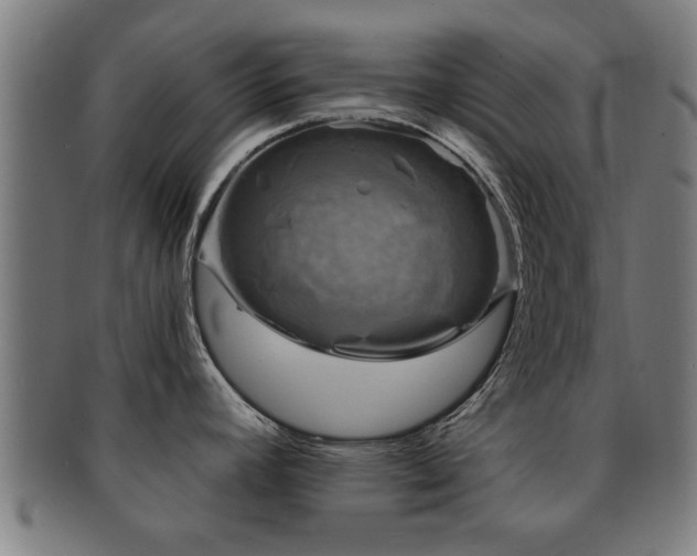 X0000091891392200709051335
