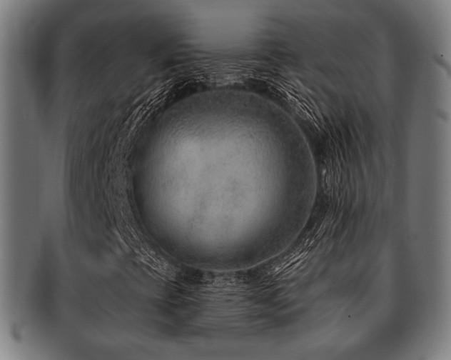 X0000091891393200709051334