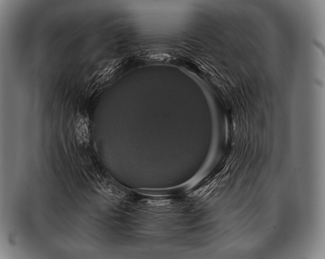 X0000091891394200709051334