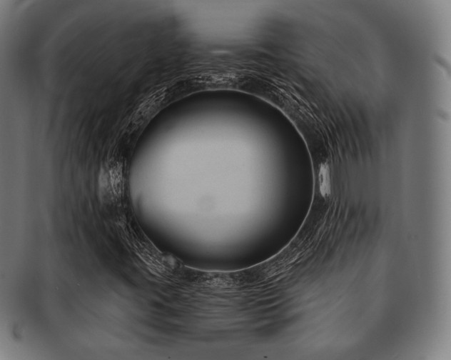 X0000091891395200709051334