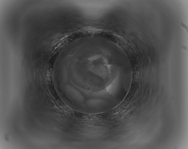 X0000091891397200709051334
