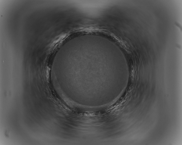 X0000091891398200709051334