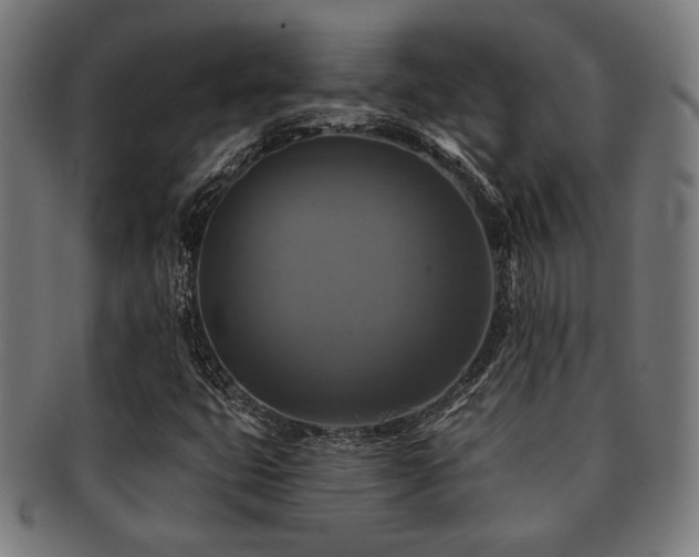 X0000091891399200709051334