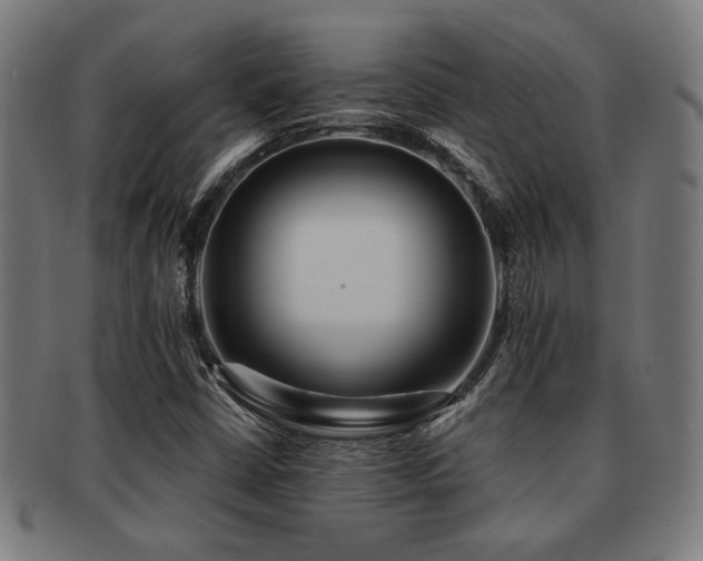 X0000091891402200709051334