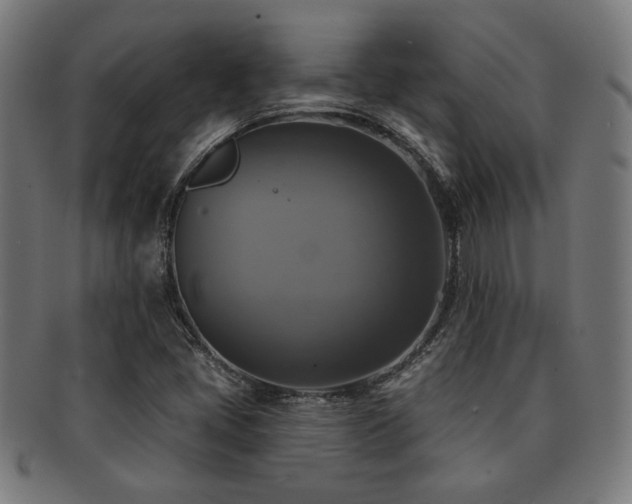 X0000091891405200709051334
