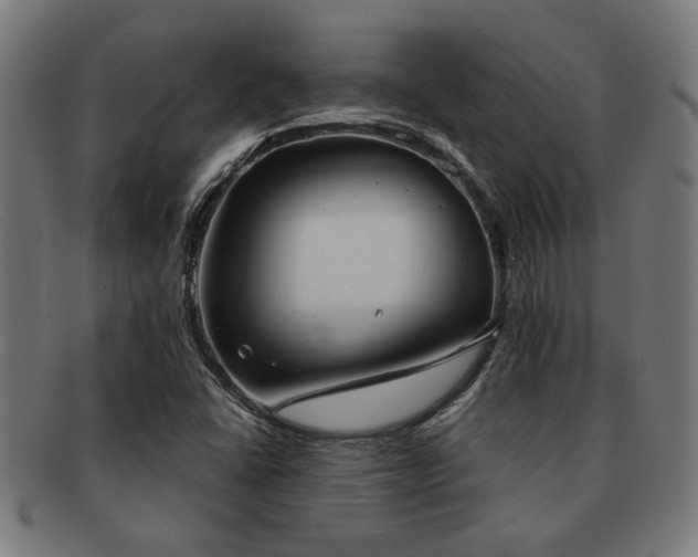 X0000091891406200709051334