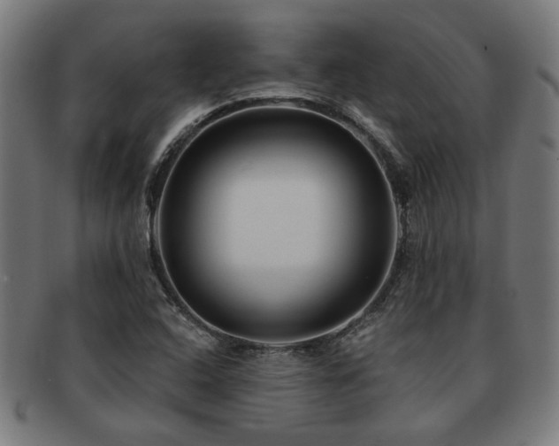 X0000091891408200709051334