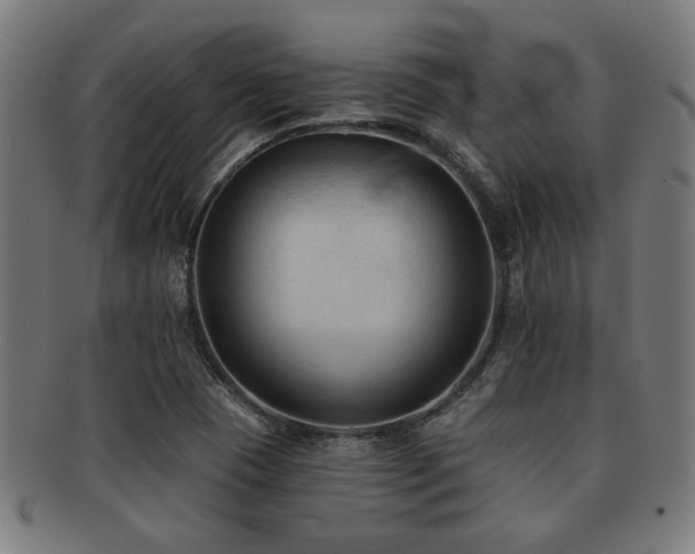 X0000091891409200709051334