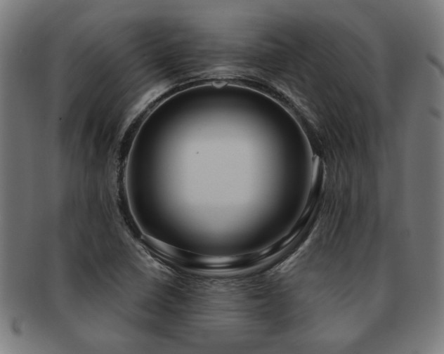 X0000091891410200709051334
