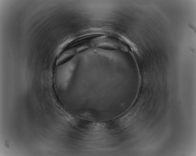 X0000091891411200709051334