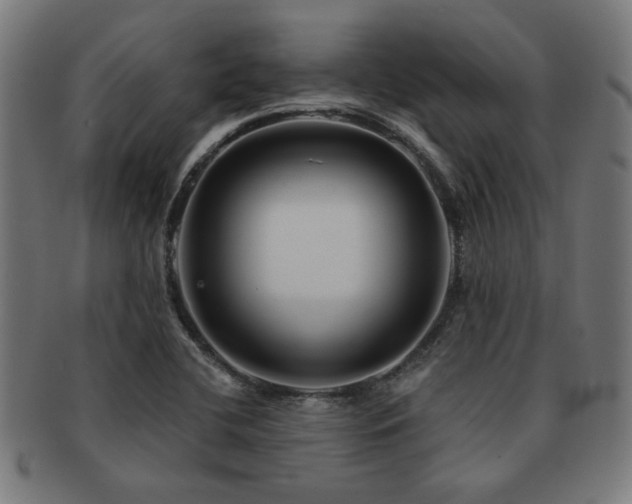 X0000091891412200709051335