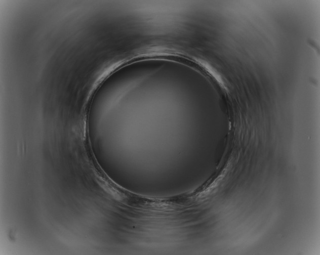 X0000091891413200709051335
