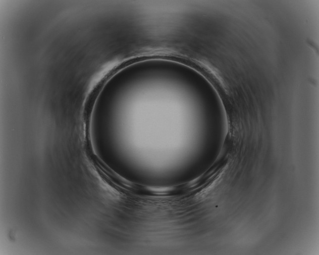 X0000091891414200709051335