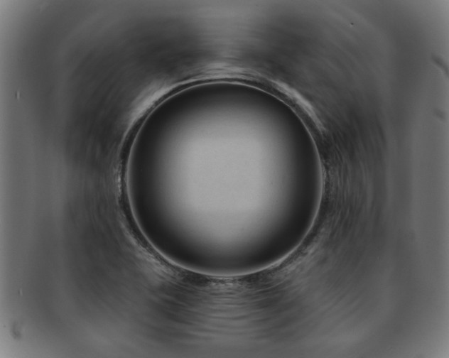 X0000091891415200709051335