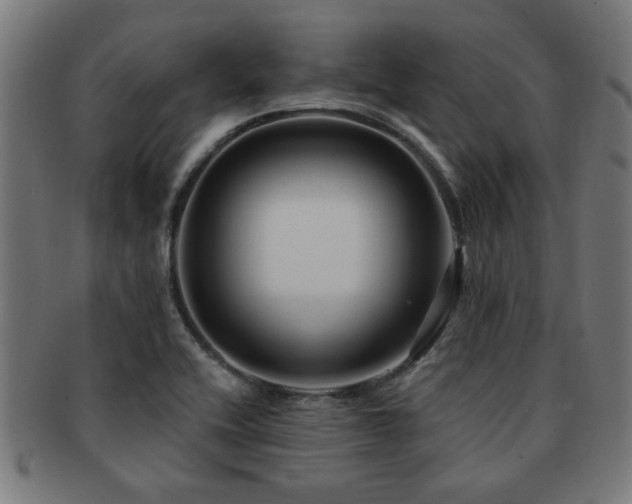 X0000091891416200709051335