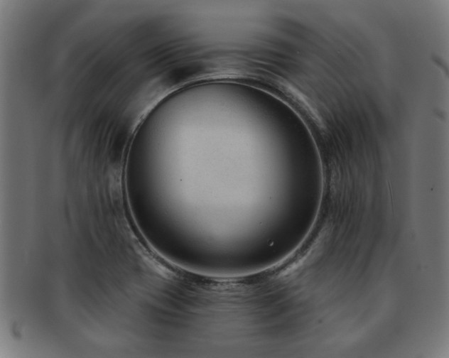 X0000091891417200709051335