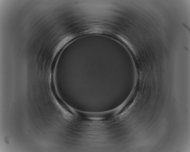 X0000091891418200709051335