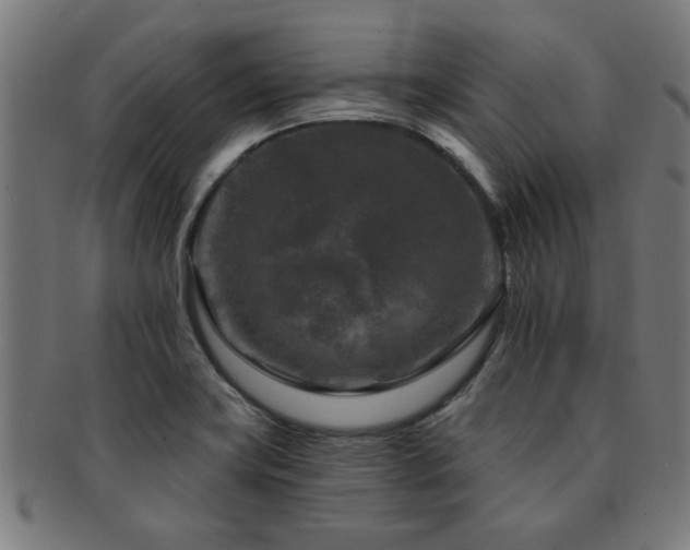 X0000091891419200709051335