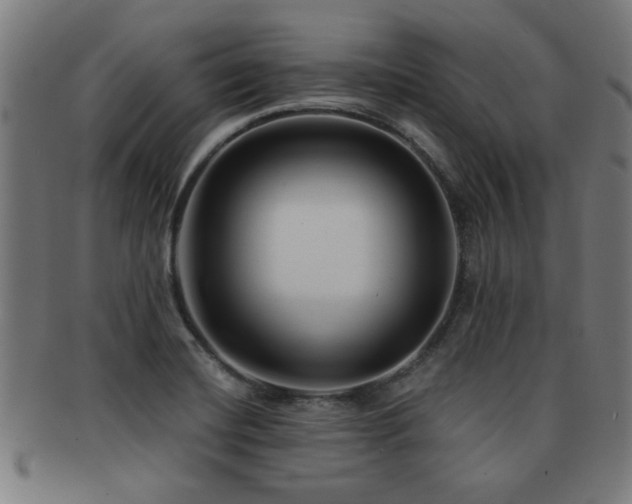 X0000091891420200709051335