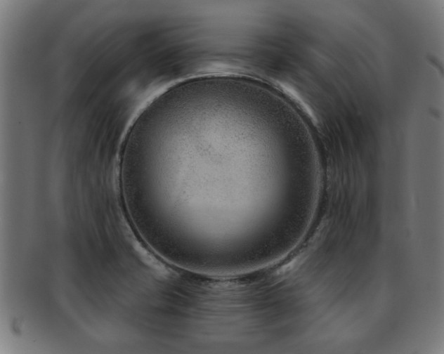 X0000091891421200709051335