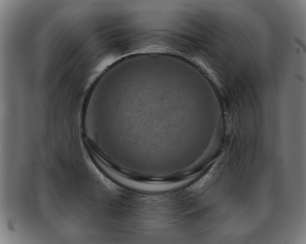 X0000091891422200709051335