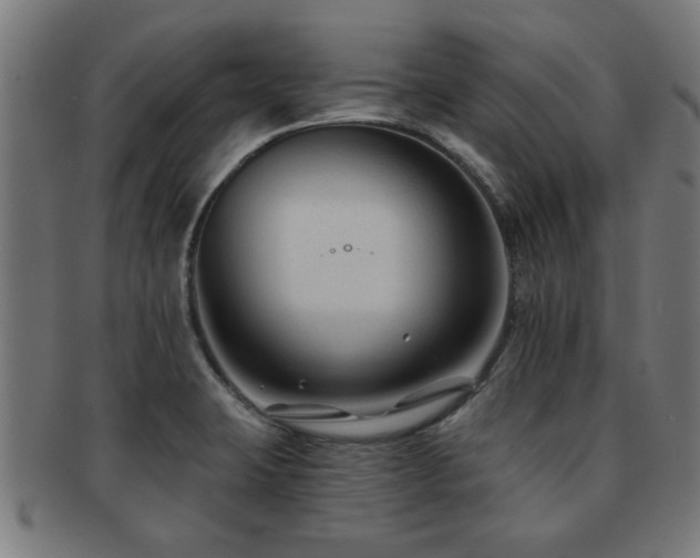 X0000091891423200709051335