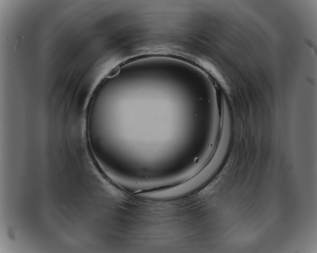 X0000091891424200709051335