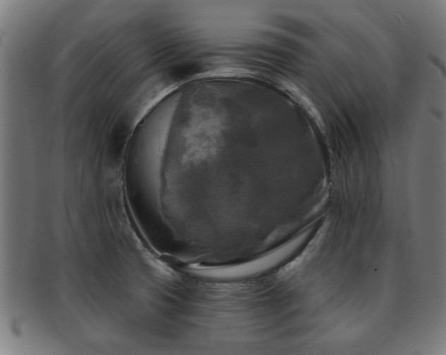 X0000091891425200709051335