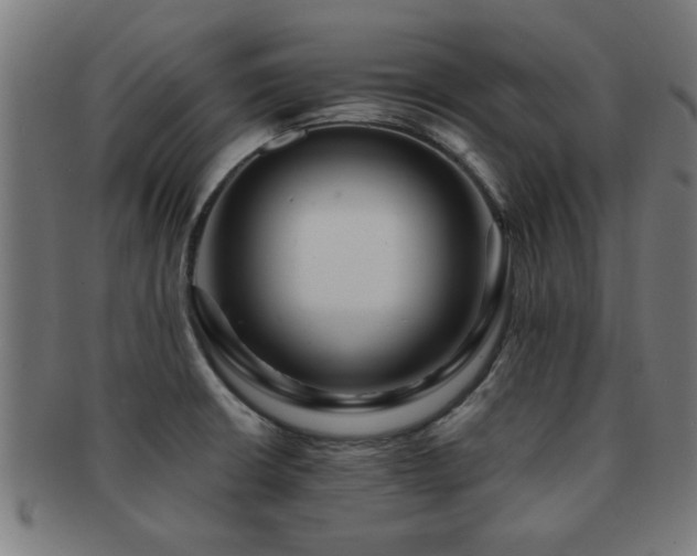 X0000091891426200709051335