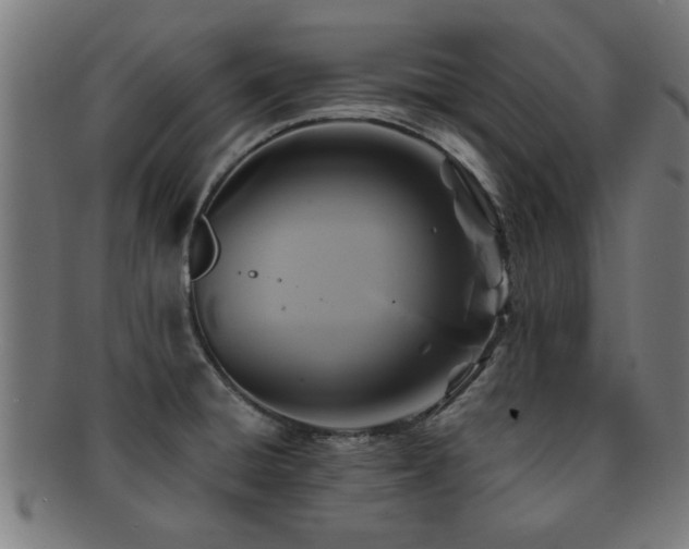 X0000091891428200709051335