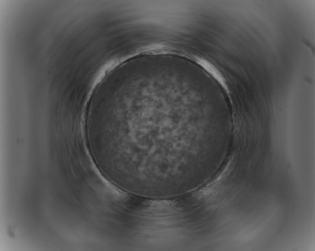 X0000091891429200709051335