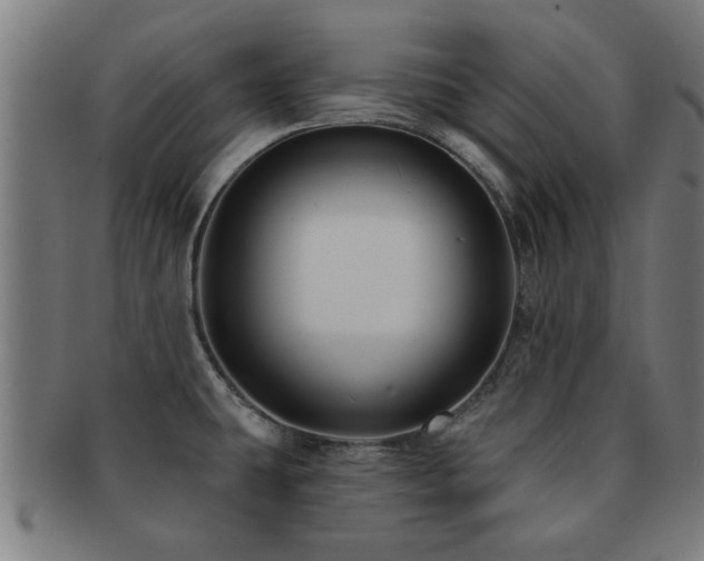 X0000091891431200709051335
