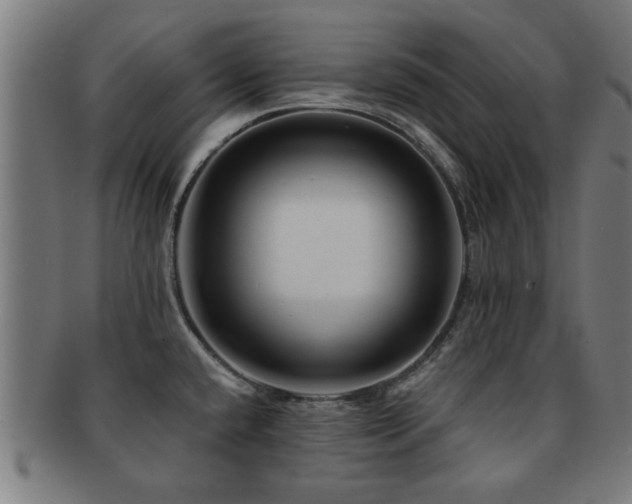 X0000091891432200709051335