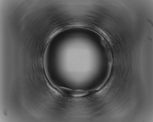 X0000091891433200709051335