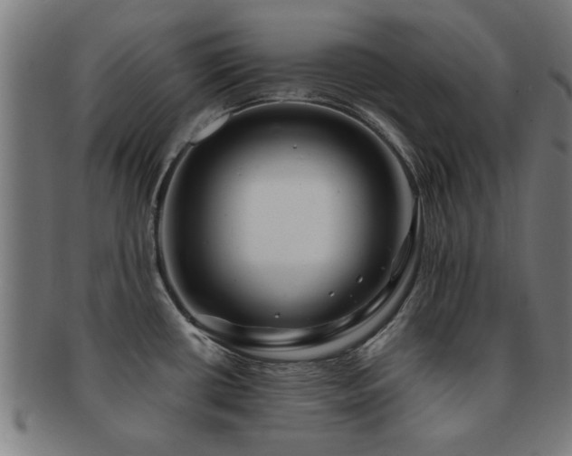 X0000091891434200709051335