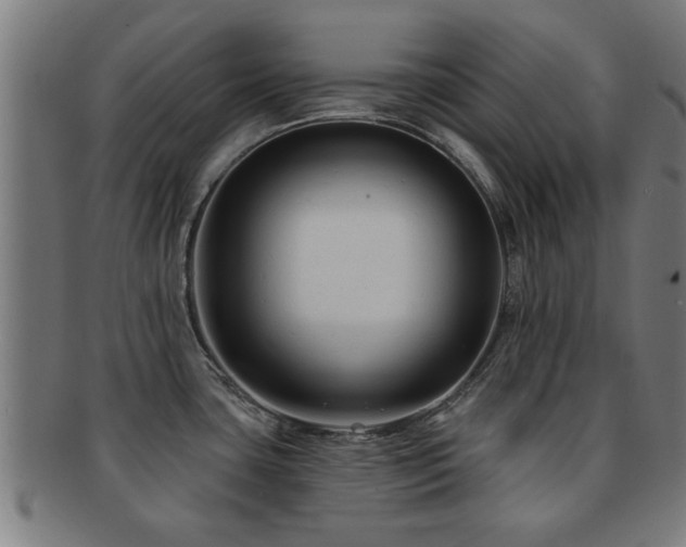 X0000091891435200709051335