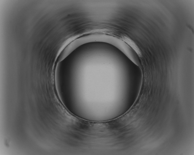 X0000091891436200709051335