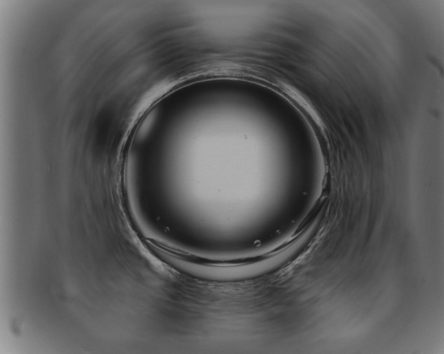 X0000091891437200709051335