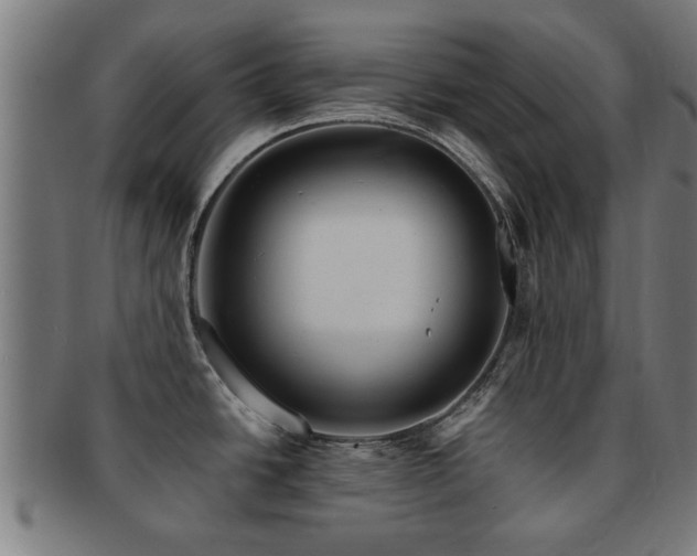 X0000091891438200709051335