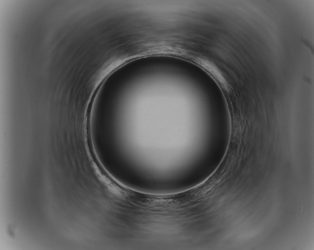 X0000091891439200709051335