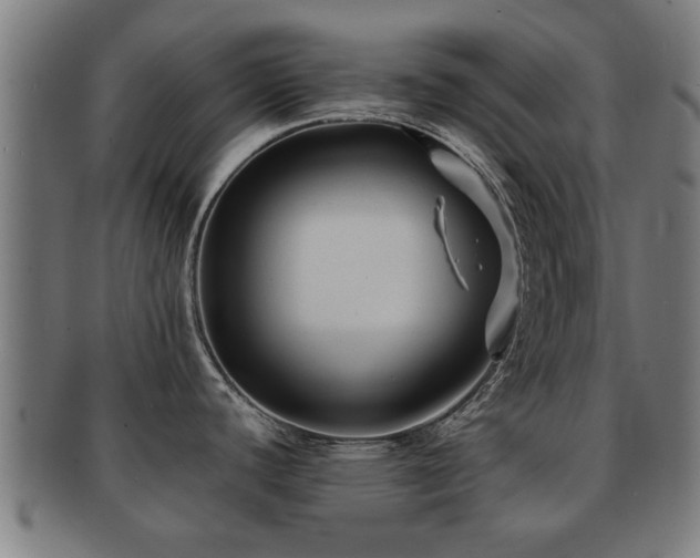 X0000091891440200709051335
