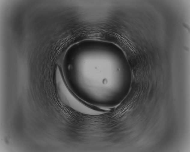 X0000091891441200709051334