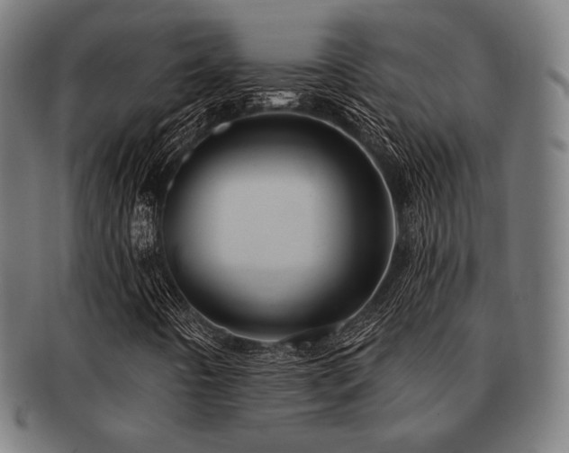 X0000091891442200709051334