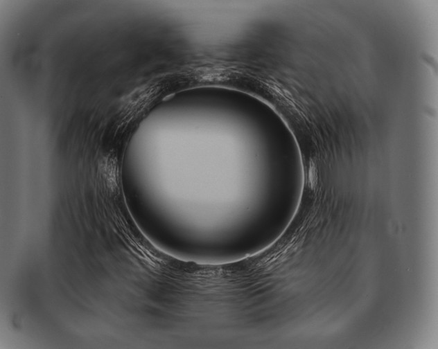 X0000091891444200709051334