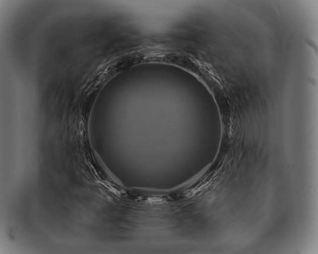 X0000091891445200709051334