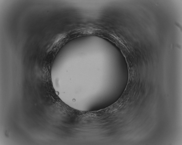 X0000091891446200709051334
