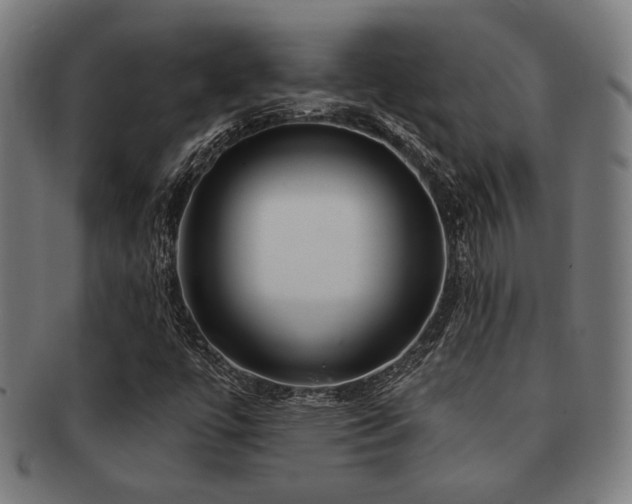 X0000091891447200709051334