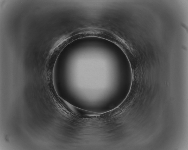 X0000091891448200709051334