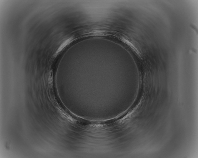 X0000091891450200709051334